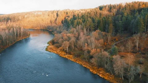 Autumn forest river Neris, Lithuania, aerial view. Natural wild woods at fall Stock Footage 118981245