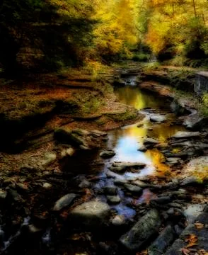 Autumn forest river Stock Photos