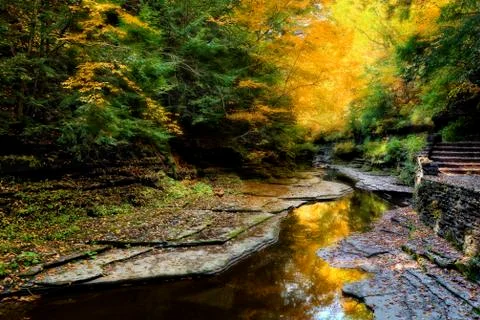 Autumn forest river Stock Photos