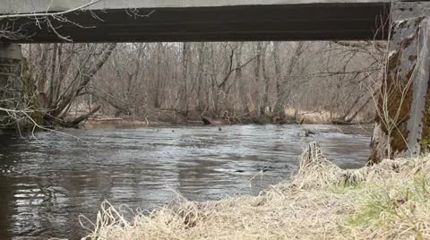 Autumn forest river under bridge Stock Footage 10860851