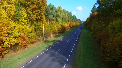 Autumn forest road Stock Footage 65596657