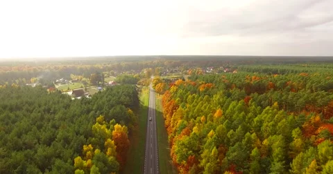 Autumn forest road Stock Footage 65601939