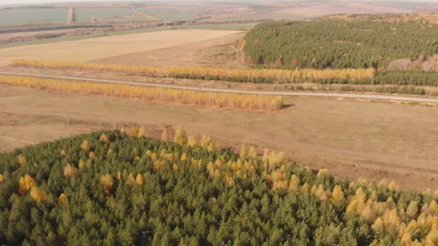 Autumn forest road Stock-Footage 147291951