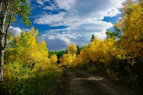 Autumn Forest Road Under Dramatic Cloudy Sky Stock Photos