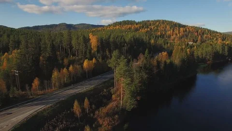 Autumn forest rural landscape with empty country road along the river Stock Footage 81215233