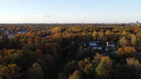 Autumn forest seen from above. Video stock 164952290