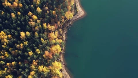 Autumn forest shooting Stock Footage 162348947