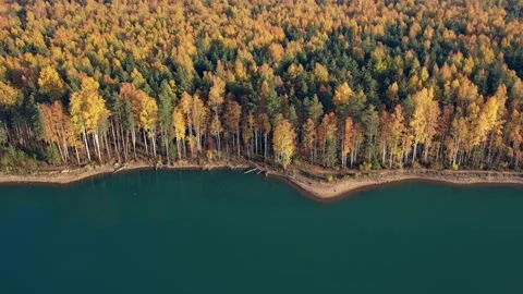Autumn forest shooting Stock Footage 162348952