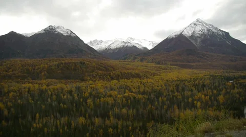 Autumn Forest, Snow-Capped River, Grey Sky Stock Footage 38110391