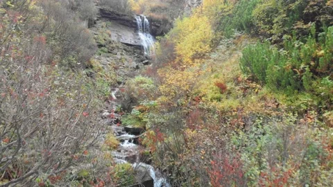 Autumn forest with stream and waterfall Stock Footage