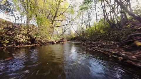 Autumn Forest Stream with Vibrant Foliage and Reflections Stock Footage 319453963