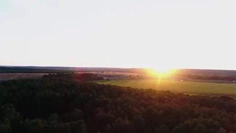 Autumn forest at sunset from a bird's eye view Stock Footage