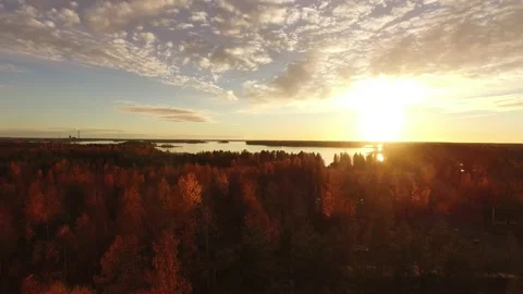 Autumn forest sunset. Stock Footage 165619781