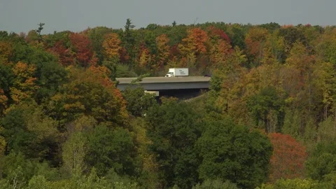Autumn Forest Surrounds a Highway Bridge With Colourful Fall Foliage Stock Footage 323840083