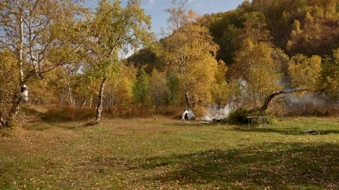 Autumn forest, tent, campfire Видео 169748076