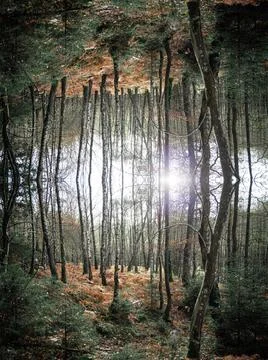 Autumn forest themed creative pattern. Autumn forest themed creative patte... Stock Photos