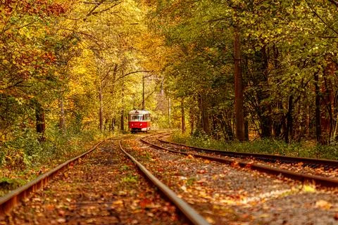 Autumn forest through which an old tram rides (Ukraine) Stock Photos
