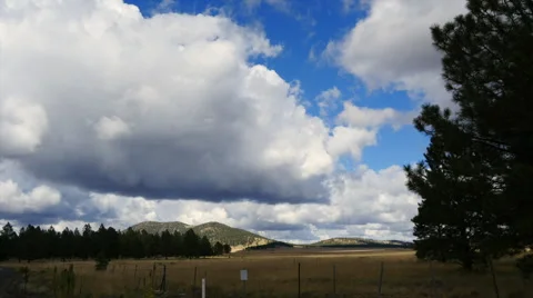 Autumn Forest Timelapse Mountains Video stock 55773317
