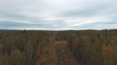 Autumn forest on the top Stock Footage 68026967