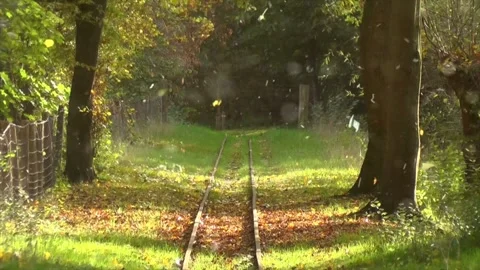 Autumn Forest Transforms into Snowfall Aerial Video stock 330281118