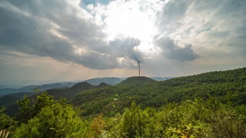 Autumn Forest Tyndall Rays Streaming Through Trees Timelapse Video stock 320441011