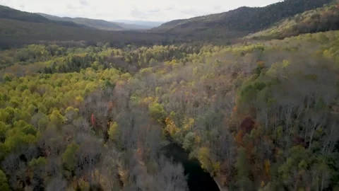 Autumn Forest Valley Stock Footage 337226997