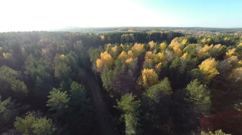Autumn forest view from above 库存影片 68996603