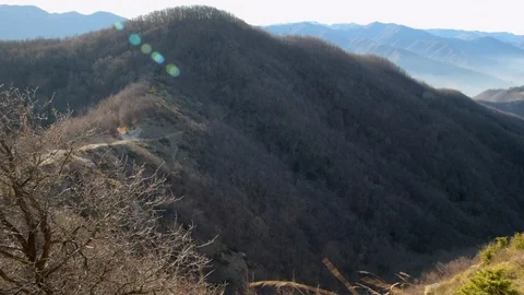 Autumn forest view Stock Footage 97979875