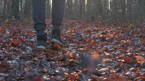 An autumn forest walk captured in slow motion as a man kicks through leaves.. Video stock 297548616