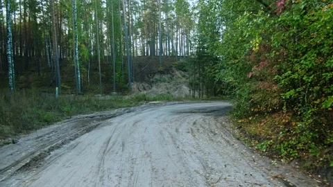 Autumn forest walk Video stock 211841392