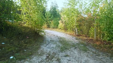Autumn forest walk Stock Footage 211842189