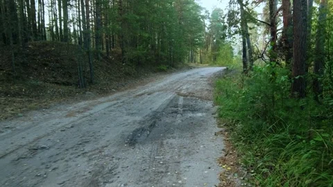 Autumn forest walk Stock Footage 211842471