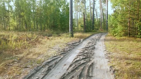 Autumn forest walk Stock-Footage 211844622