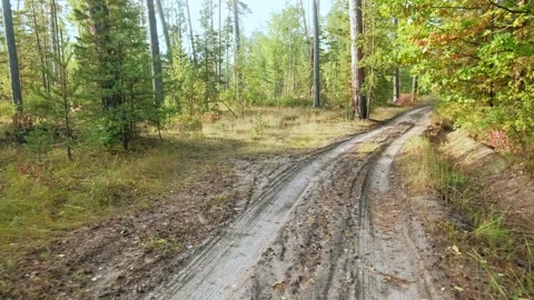 Autumn forest walk Stock-Footage 211844624