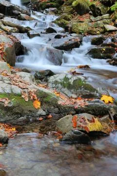 Autumn forest waterfall Foto stock