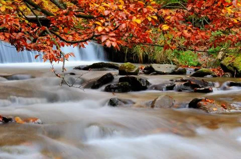 Autumn forest waterfall Stock-Fotos