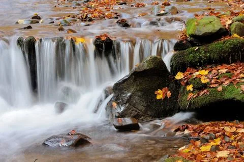 Autumn forest waterfall Foto stock