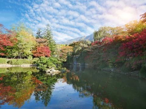 Autumn forest on waterfront Stock Photos