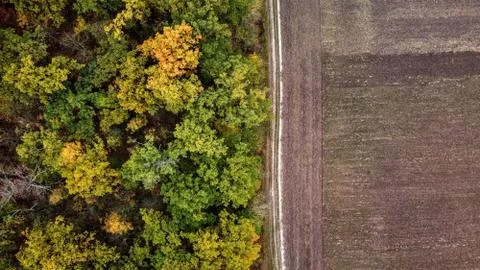 Autumn forest way Stock Photos