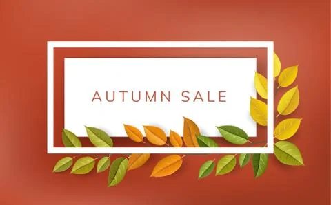 Autumn frame with branches Stock Illustration