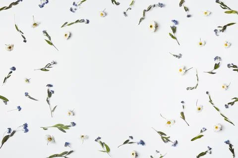 Autumn frame composition with copy space. Pattern made of dried flowers on a Foto stock