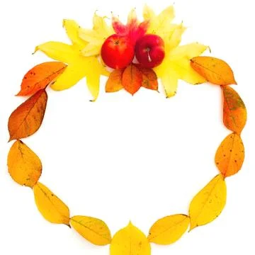 Autumn frame composition. Fall leaves and apple on white background. Autumn,  Stock-Fotos