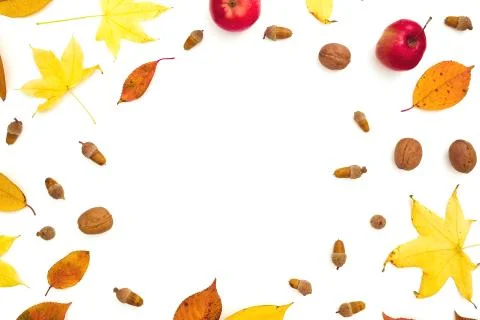 Autumn frame composition. Fall leaves, apple, pine cones on white background. Foto stock