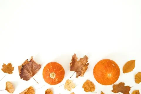 Autumn frame composition. Fall leaves and pumpkins on white background. Autum Stock Photos