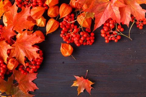 Autumn frame composition with fallen leaves on wooden with copy space for tex Stock-Fotos