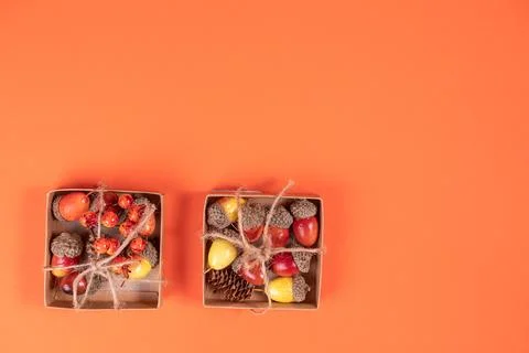 Autumn frame composition highlighted on an orange background. Stock Photos