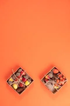 Autumn frame composition highlighted on an orange background. Stock Photos