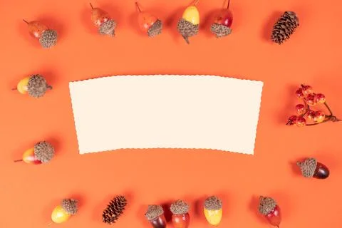 Autumn frame composition, highlighted with a sheet of paper on an orange back Stock Photos