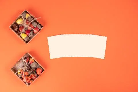 Autumn frame composition, highlighted with a sheet of paper on an orange back Stock Photos