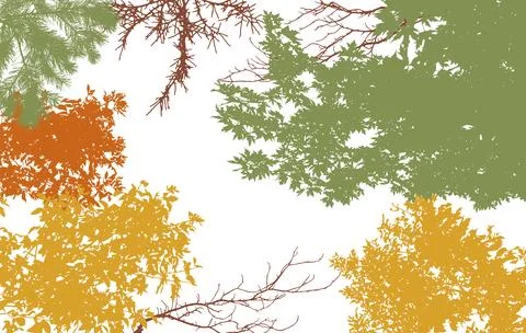Autumn frame of deciduous branches of trees, silhouette, background. Vector.. Stock Illustration
